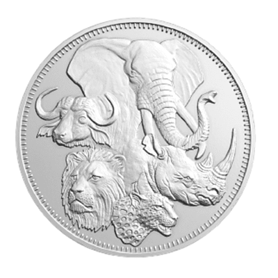 1/2 oz (27mm) Silver Coin The Big Five